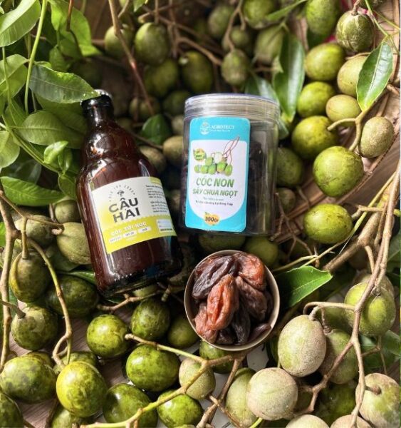 Blog - 104 bia coc toi noc 1