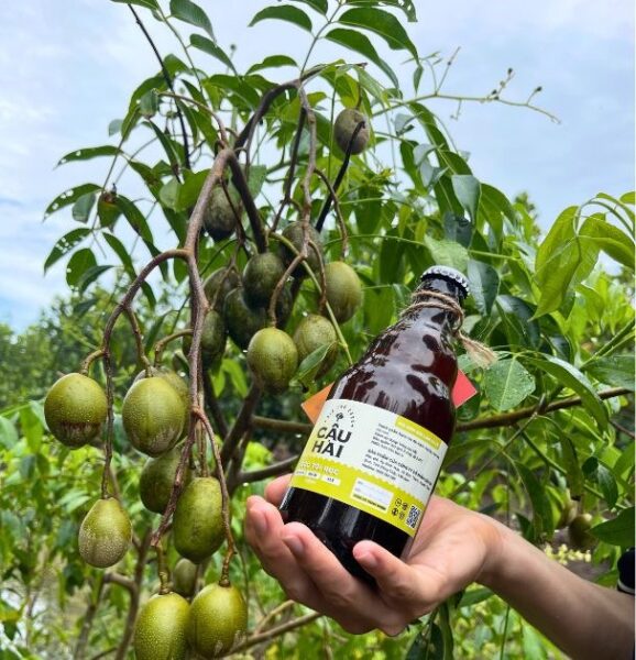 Blog - 104 bia coc toi noc 2