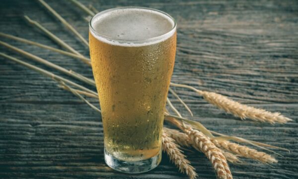 Agrotect bia thủ công